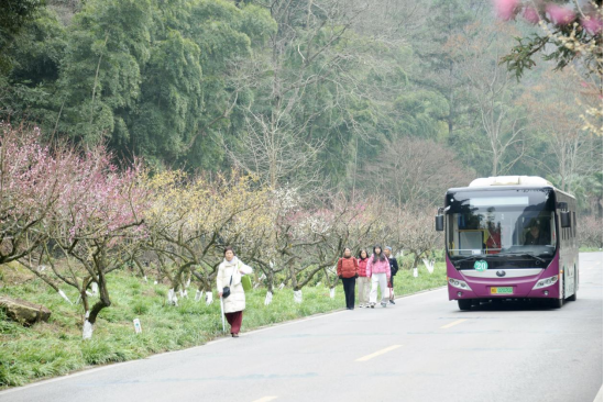 張家界國(guó)家森林公園：梅香引客 車(chē)馳春境 春日限定美景正式上線(xiàn)